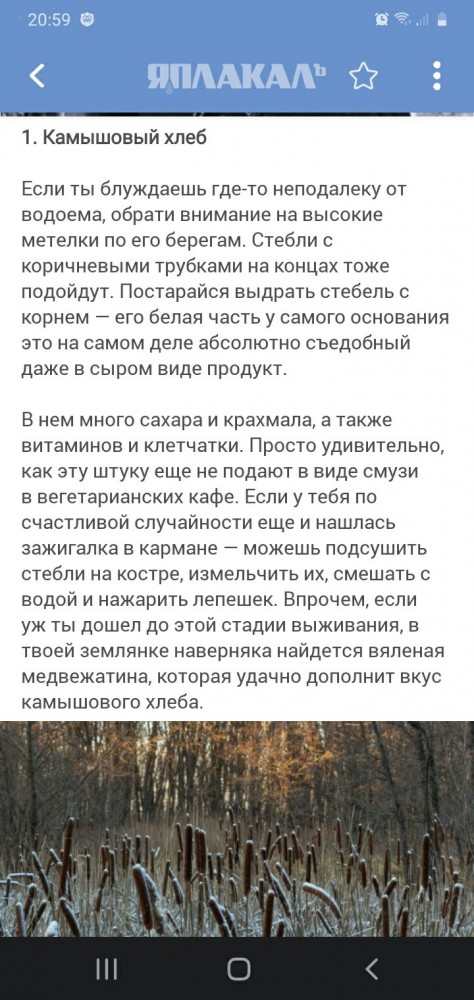 Как выжить зимой в лесу без еды