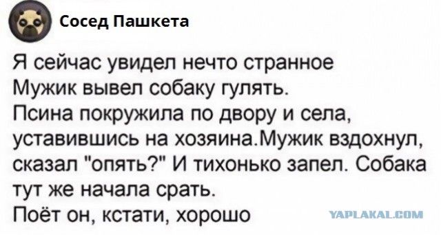Бредзона 24.12.20