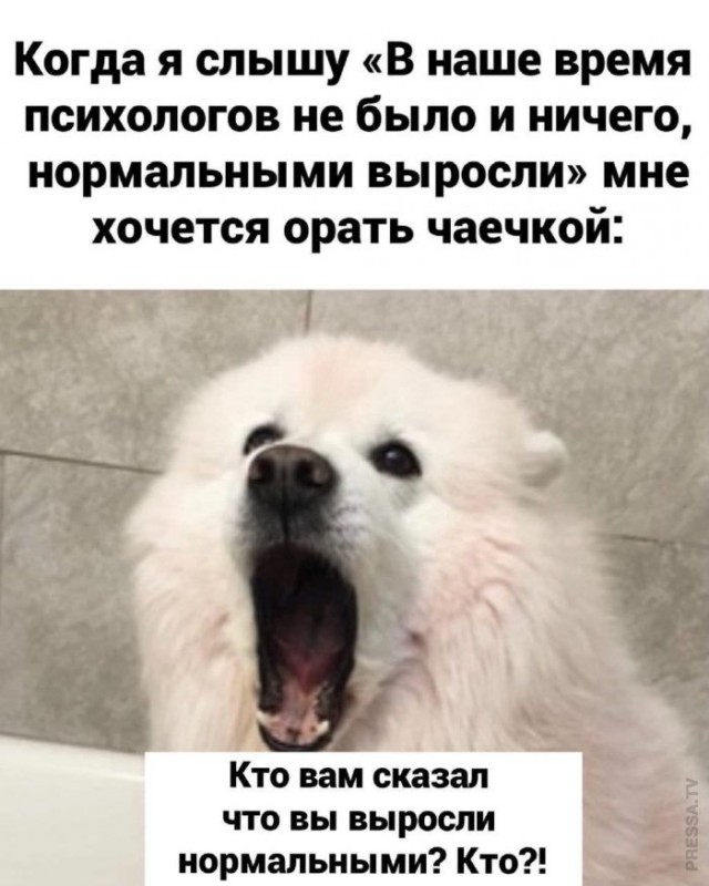 Картинки и мемы для настроения 005
