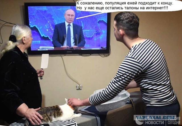Фото от РИА Новости, как простые россияне и их кот внимательно слушают своего президента