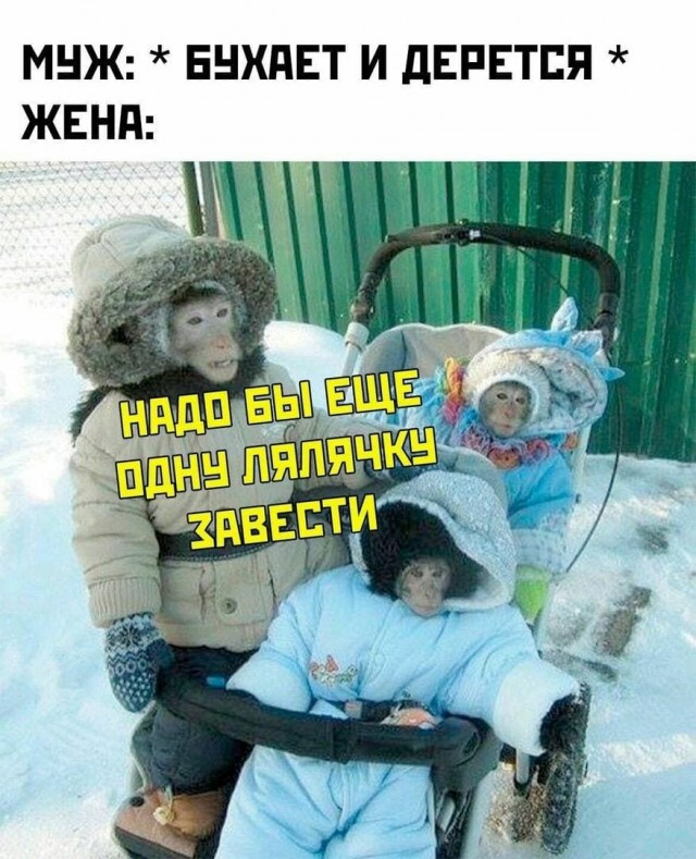 Не пропускай день деградации!