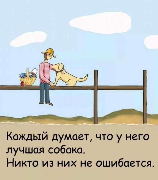 Картинки и мемы для настроения 016