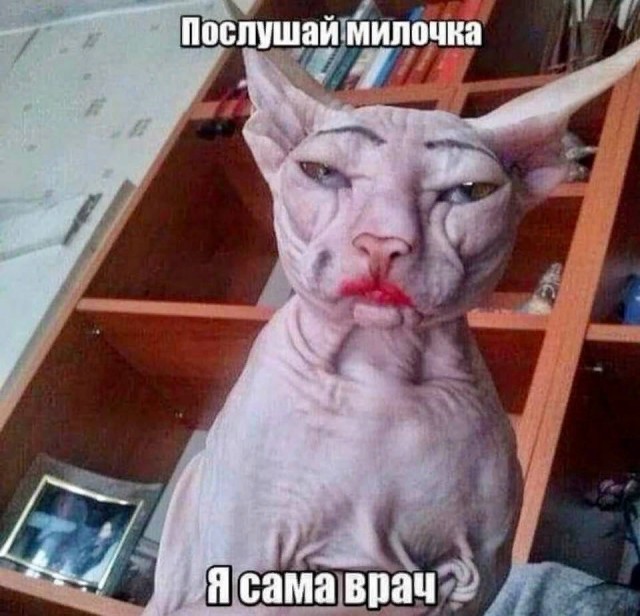 Пандемия. Коронавирус. Россия и мир. Последняя информация. Часть 21