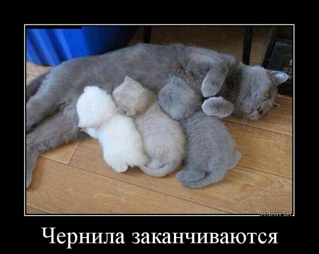 Стоп, а чёрные точно мои?