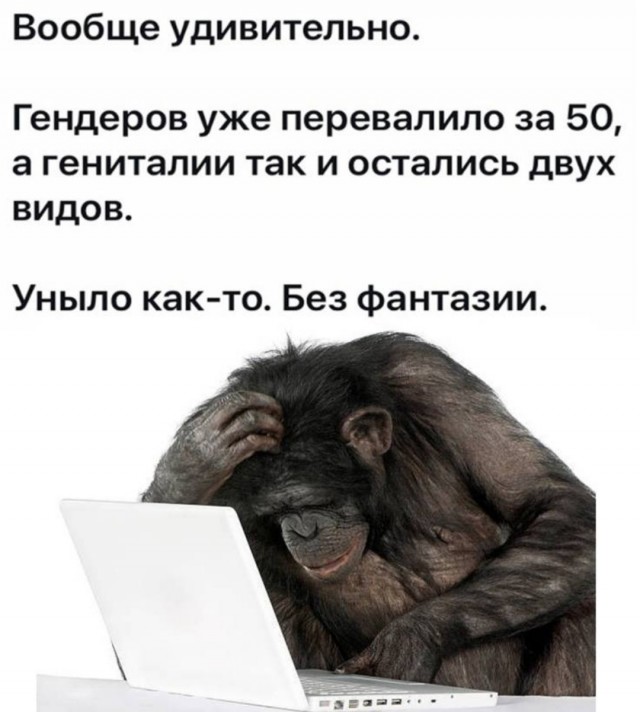 Бредзона 09.08.21
