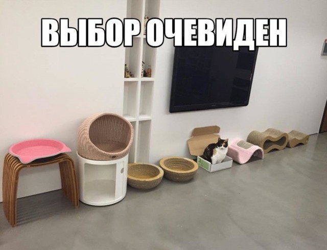 Так себе картинки 14.08.21