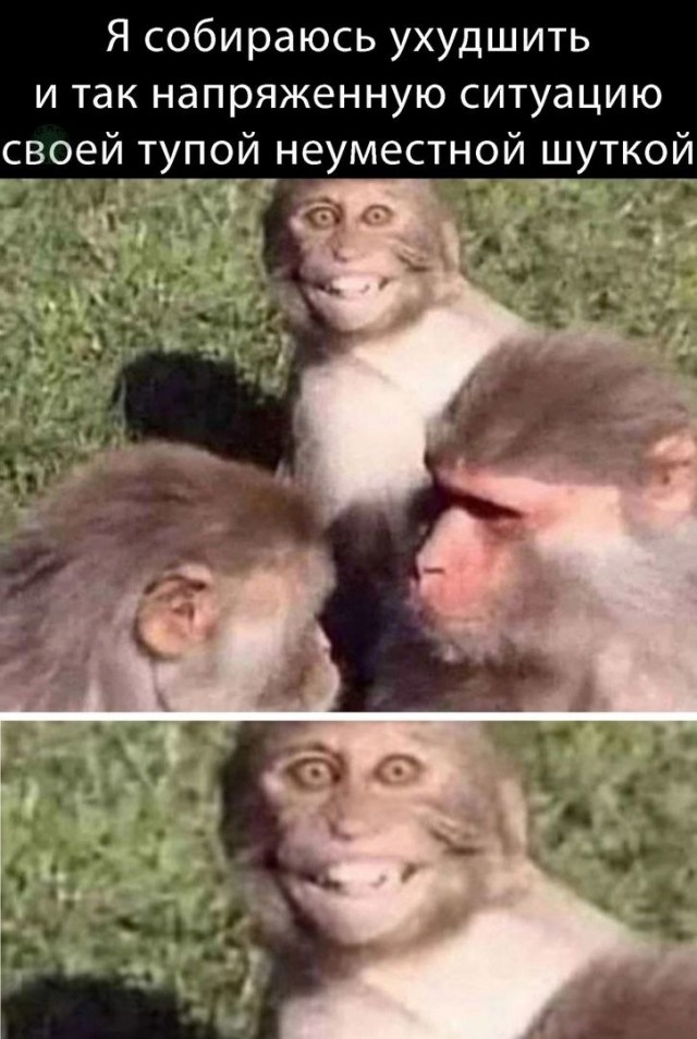 Никогда не зли доброго