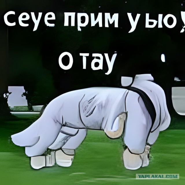 Нейросеть, которая создаёт изображения по описанию на русском языке