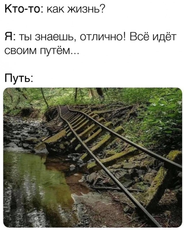 Весёлый полтишок 11.11