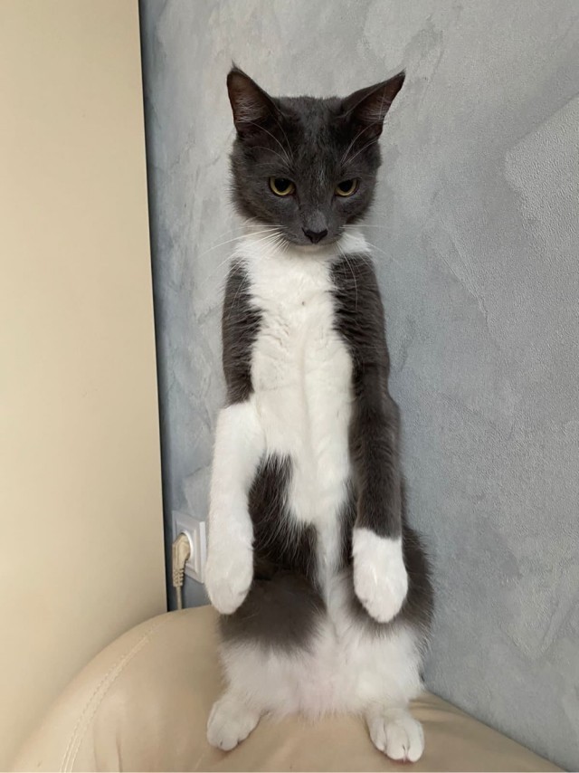 Вторник. Котэ. Пора