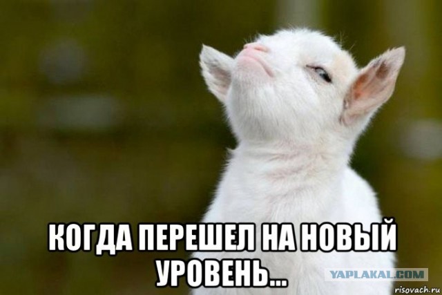 Госдума приняла закон о введении штрафов до 500 тысяч рублей и лишении свободы на срок до 3 лет для злостных нарушителей ПДД