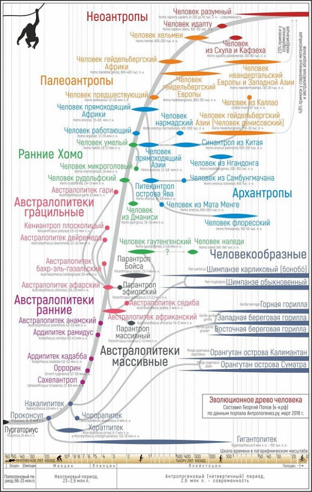 Человек не произошёл от обезьяны, он и есть обезьяна
