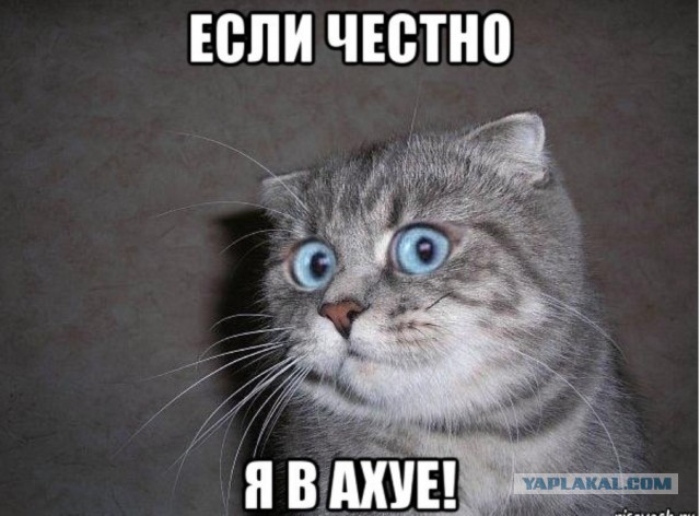 Донбасс. Детский Сад