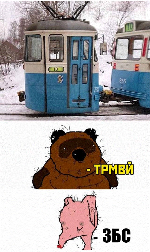 Весёлый полтишок 20.03.22