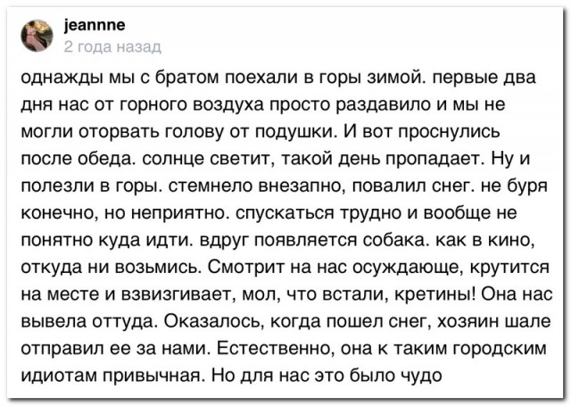 Забавные комментарии из социальных сетей (21.03.22)