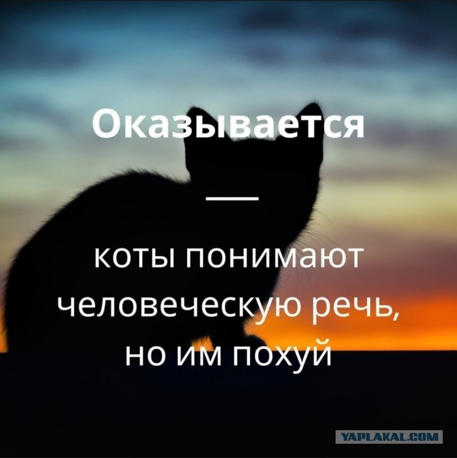 Картинки аморальные и всякие разные - 26