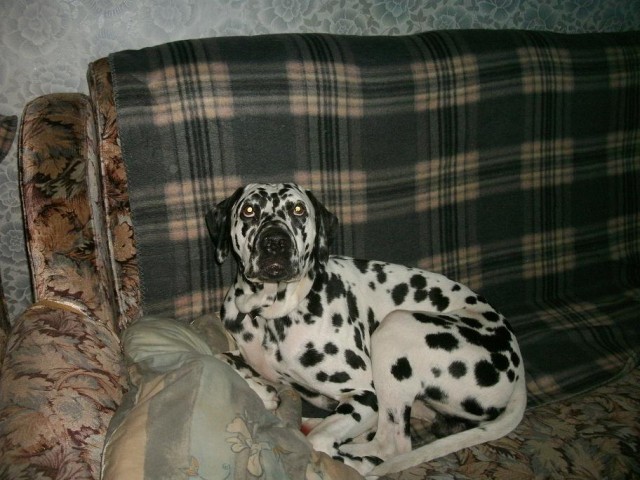 Что мне делать?Новосибирск-помогите.