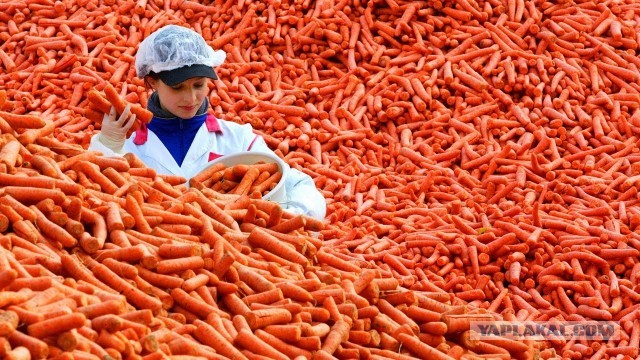 Что делает мужчина перед свиданием с любовницей?