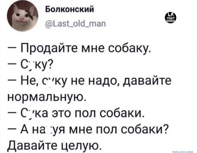 Забавные комментарии из социальных сетей (17.10.22)