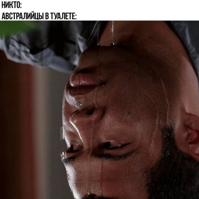 Картинки и мемы. Выходные близко...