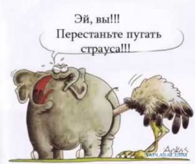 Эстонские пограничники заставили российских железнодорожников закрасить на цистернах надписи «Русский мир».