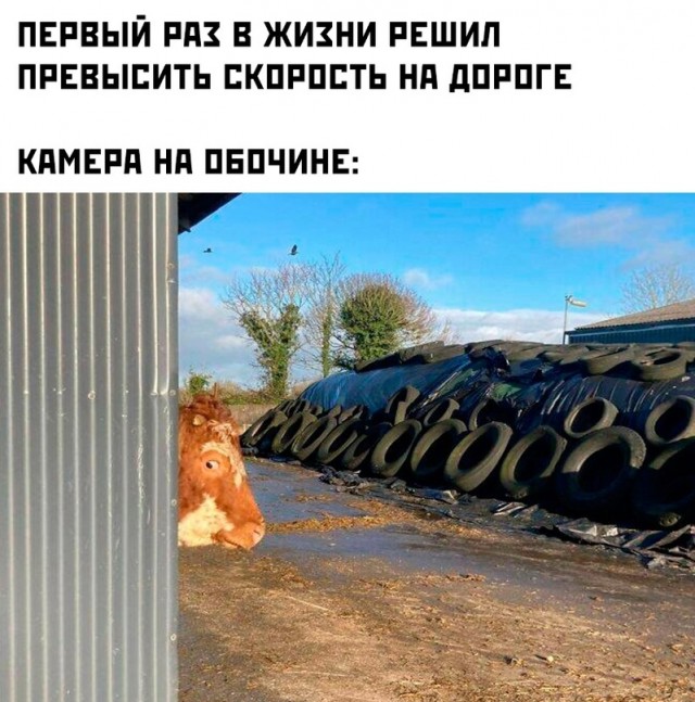 Картинки и мемы, всем хороших выходных