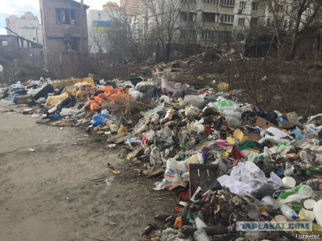При обстреле белгородского села погибла 12-летняя девочка