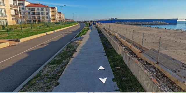 В Тюменской области ЯЖбатя докопался до женщины и ее крошечного чихуахуа