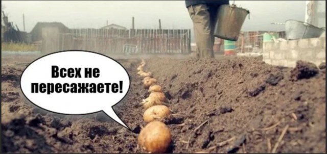 Победная поступь идиотизма по планете – том 10