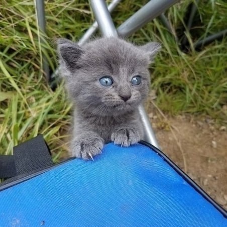 "Уехал на рыбалку, вместо рыб вернулся с этим"