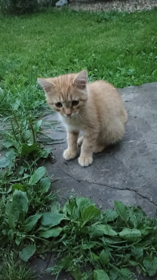 Пополнение