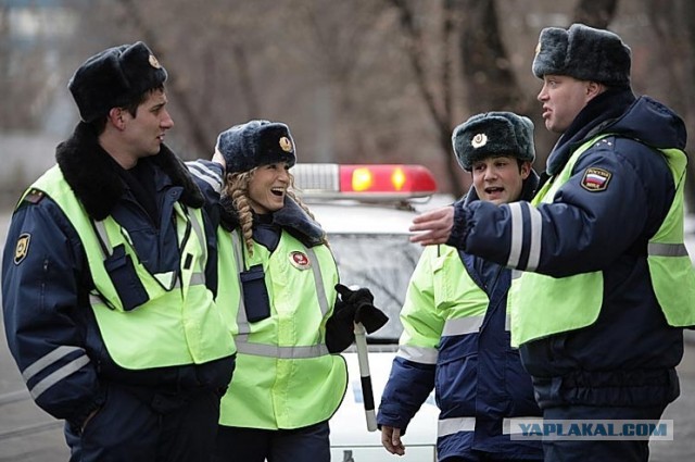 Охотники «11» приводят ГИБДД в чувство