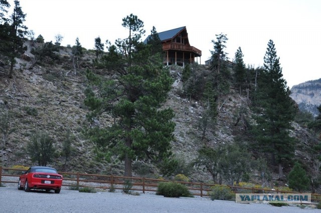 Ford Mustang напрокат