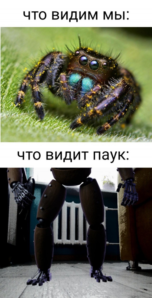 Чуток картинок