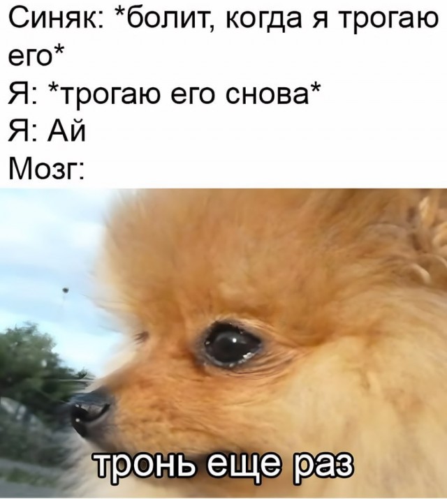 Мемчики и картинки для настроения и подумать