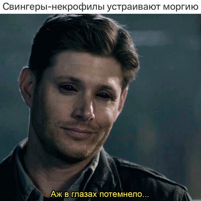 Весёлый полтишок 10.07.24