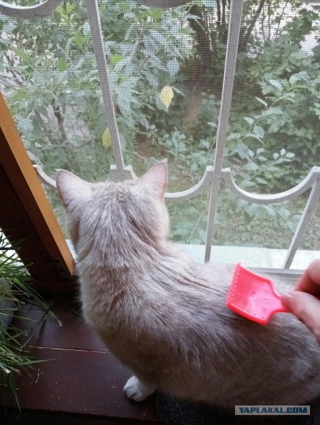Показывайте, а чем так заняты вы