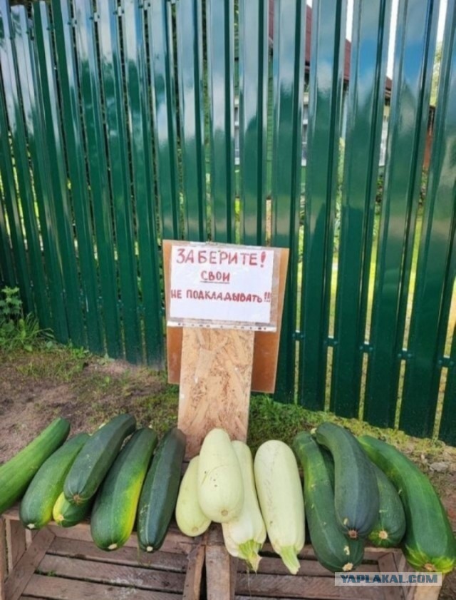 Картинки разные с надписями и без