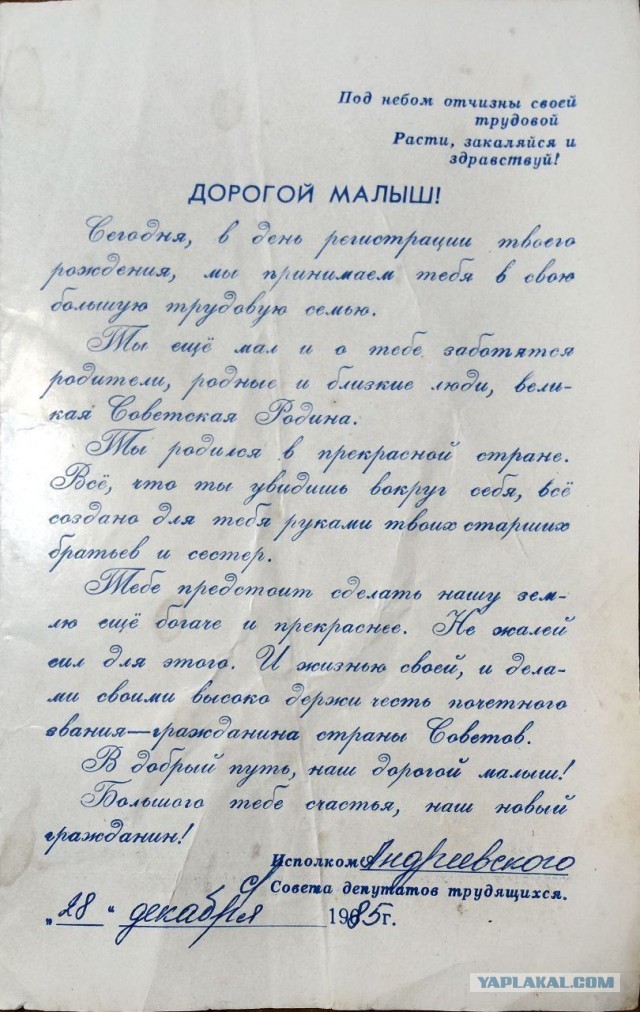 «Куда столько нарожала?!»: как многодетную мать выселяли на улицу с четырьмя детьми