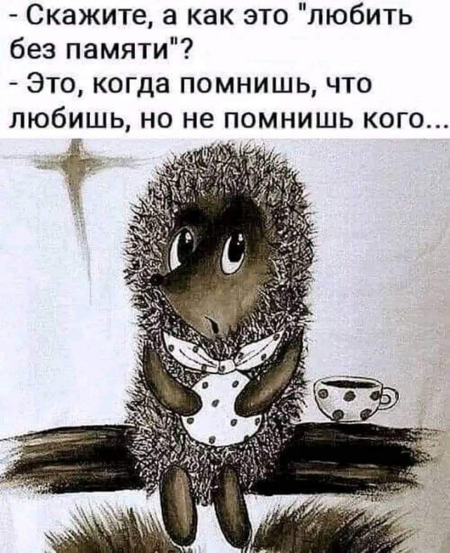 Так себе картинки 12.02.25