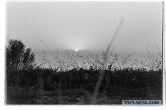 Продолжаю отладку домашних процессов с фотоплёнкой. Зацените ЧБ фотки