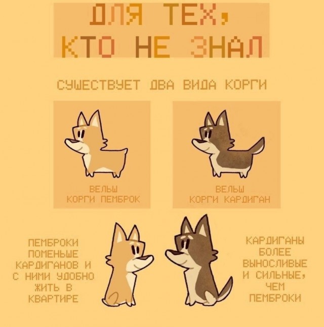 Так себе картинки 30.03.25