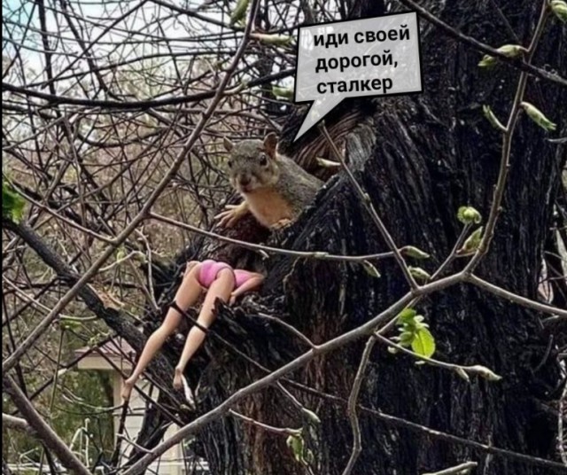 Немного е*анины на субботу