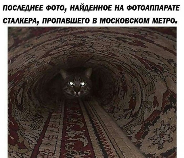 Нуштош 06.05.2025. Старая реальность (s3e12)