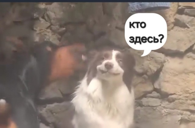 Где ты был с 8 до 11?