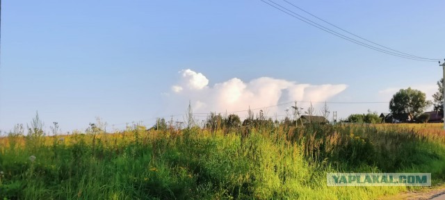 Вы тоже такое видите, но стесняетесь сказать