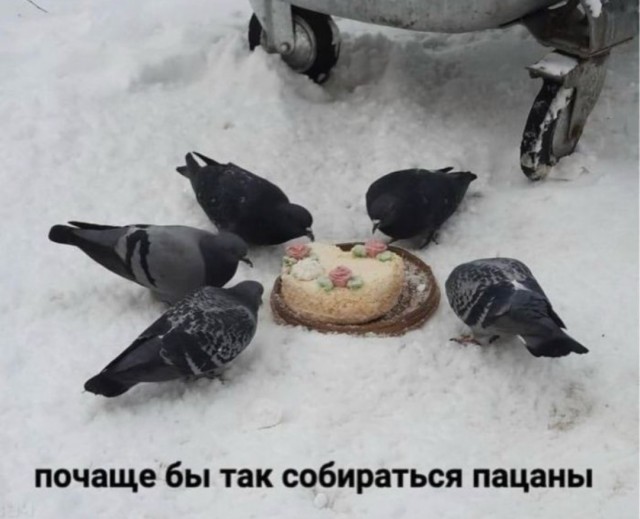 Картинки для деградации 24 (разной степени свежести)