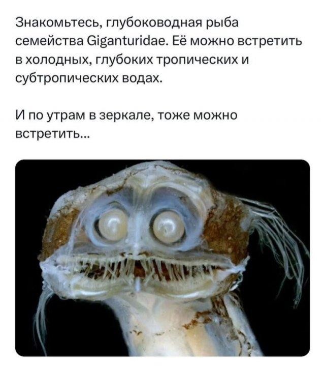 Картинки для деградации 51 (разной степени свежести)