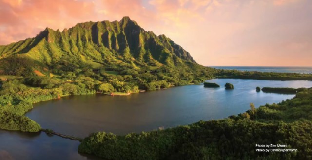 Кажется, техномиллиардеры готовятся к концу света. Стоит ли нам всем беспокоиться?