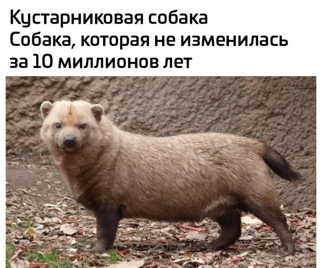 Так себе картинки 14.10.25